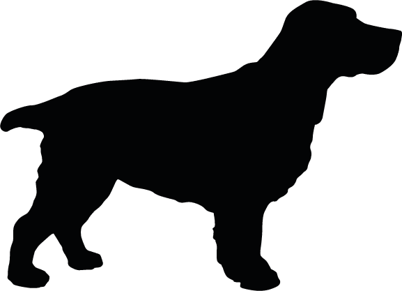 Bioneo - Professionnel de la lutte contre les nuisibles en région Pays de la Loire - Détection canine de punaises de lit