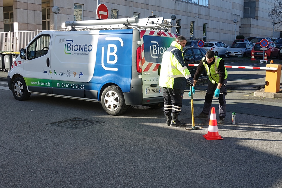 Dératisation en Pays de la Loire Bioneo - Professionnel de la dératisation autour de Nantes, Angers, Laval, Le Mans et La Roche-sur-Yon.