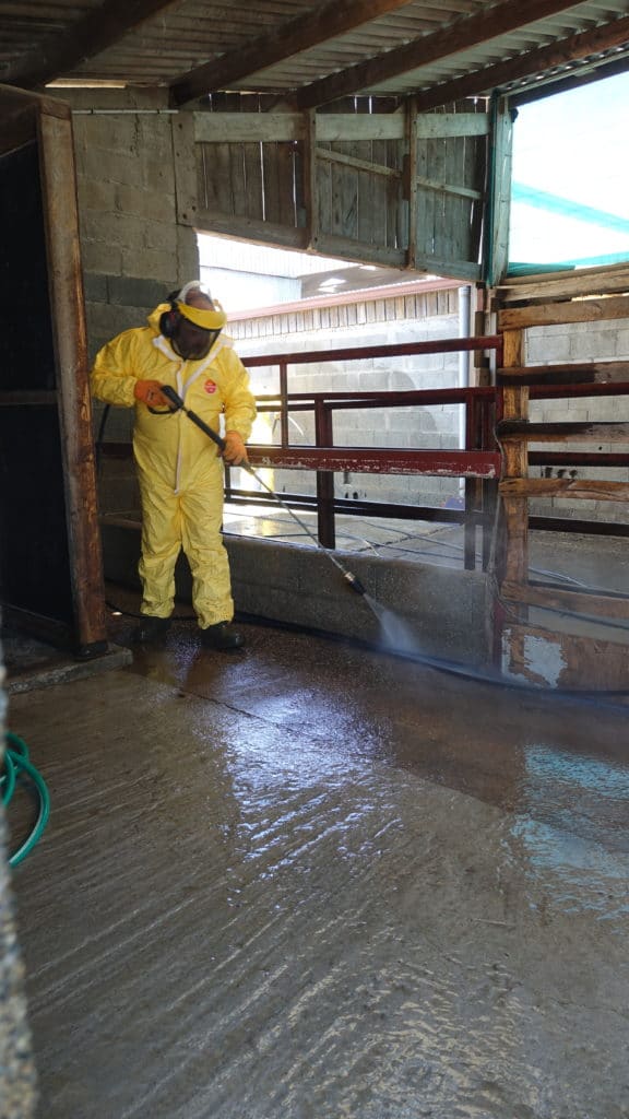 Lavage de locaux par un technicien | BIONEO - Pays de la Loire Lavage de bâtiment agricole | BIONEO