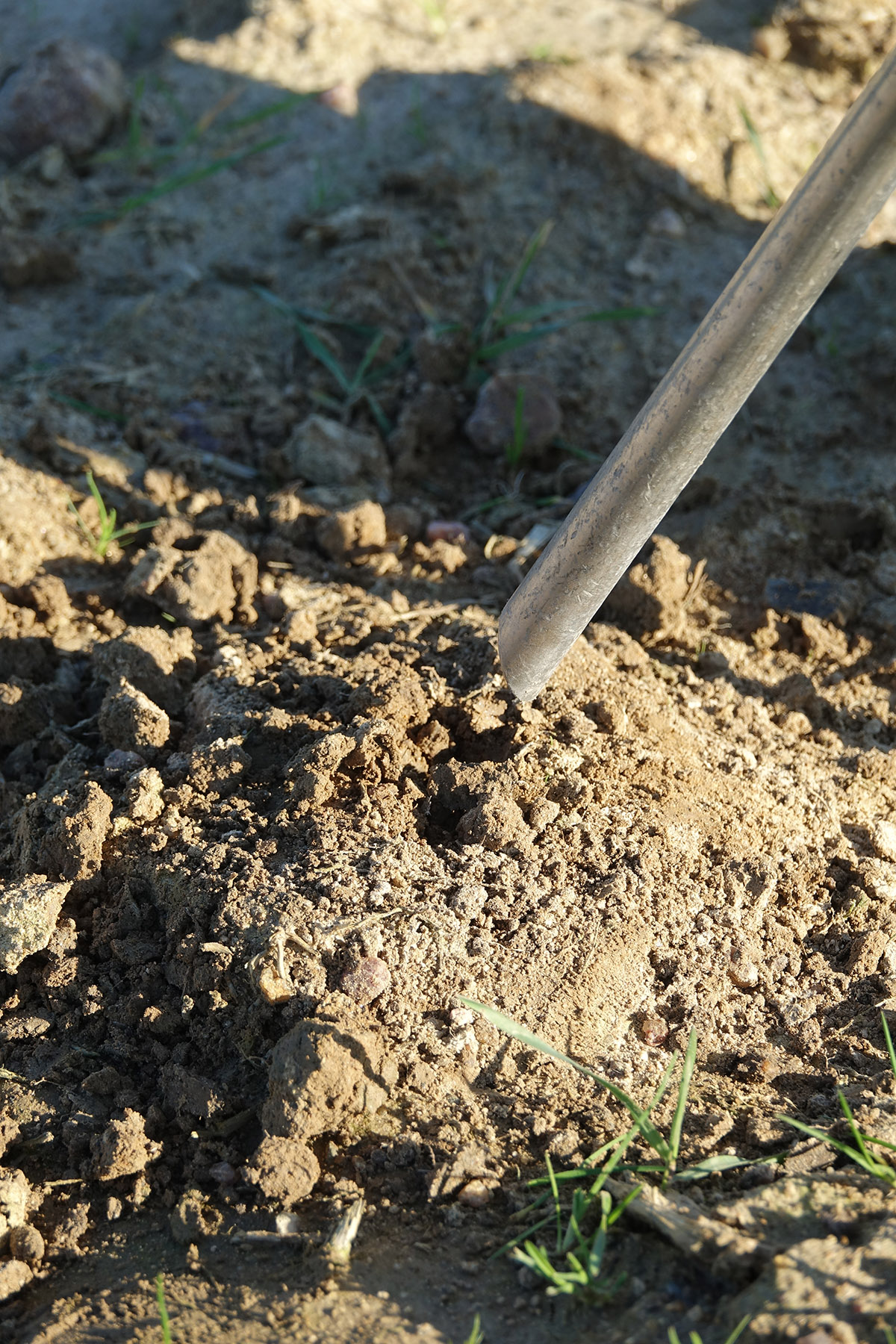 Se débarrasser des taupes : faites appel à Bioneo - Traitement taupe au gaz en Pays de la Loire