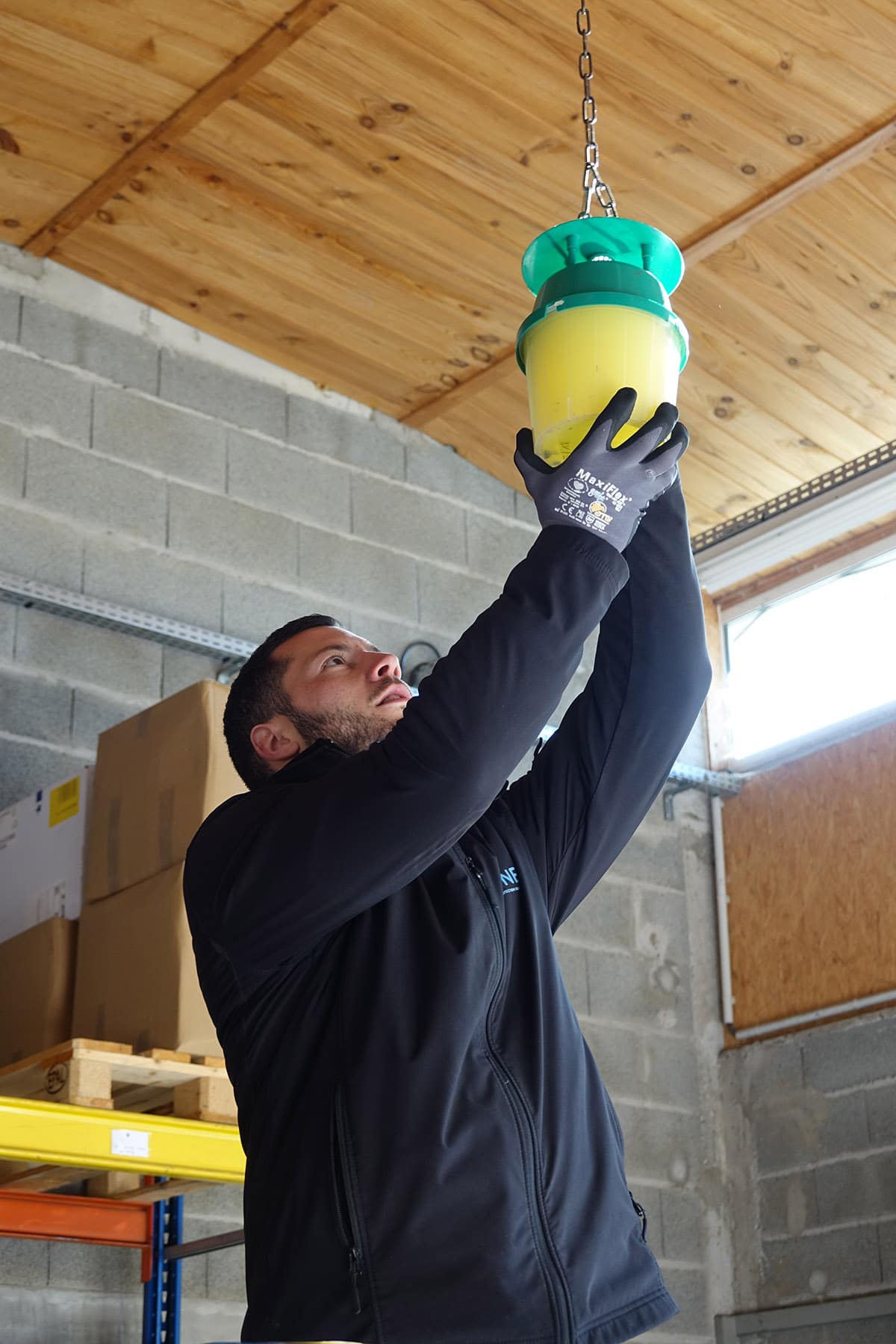 Bioneo - Exterminateur de nuisibles autour de Nantes, Angers, Laval, Le Mans, La Roche-sur-Yon Un technicien Bioneo pose un piège à phéromones pour se débarrasser des insectes