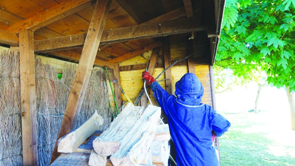 Technicien BIONEO réalise une destruction de nid de guêpes ou frelon