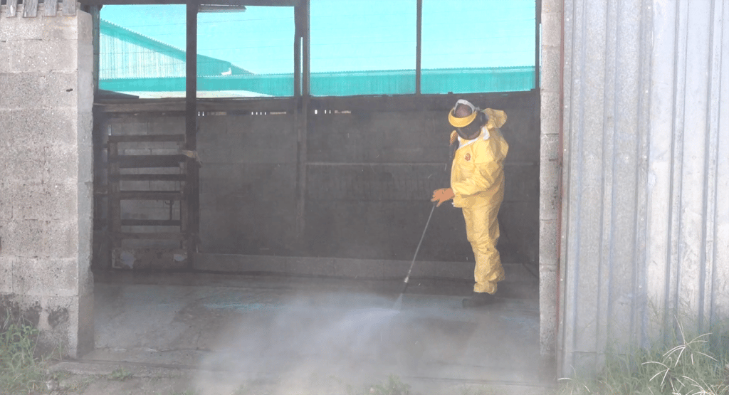 Technicien effectue un lavage de batiment agricole - BIONEO - Désinfection et lavage de bâtiments et locaux en Pays de la Loire