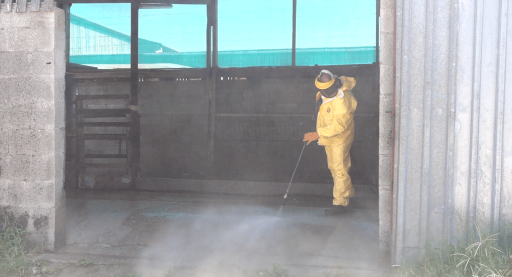 Un technicien BIONEO effectue un lavage de batiment agricole Technicien effectue un lavage de batiment agricole - BIONEO - Désinfection et lavage de bâtiments et locaux en Pays de la Loire