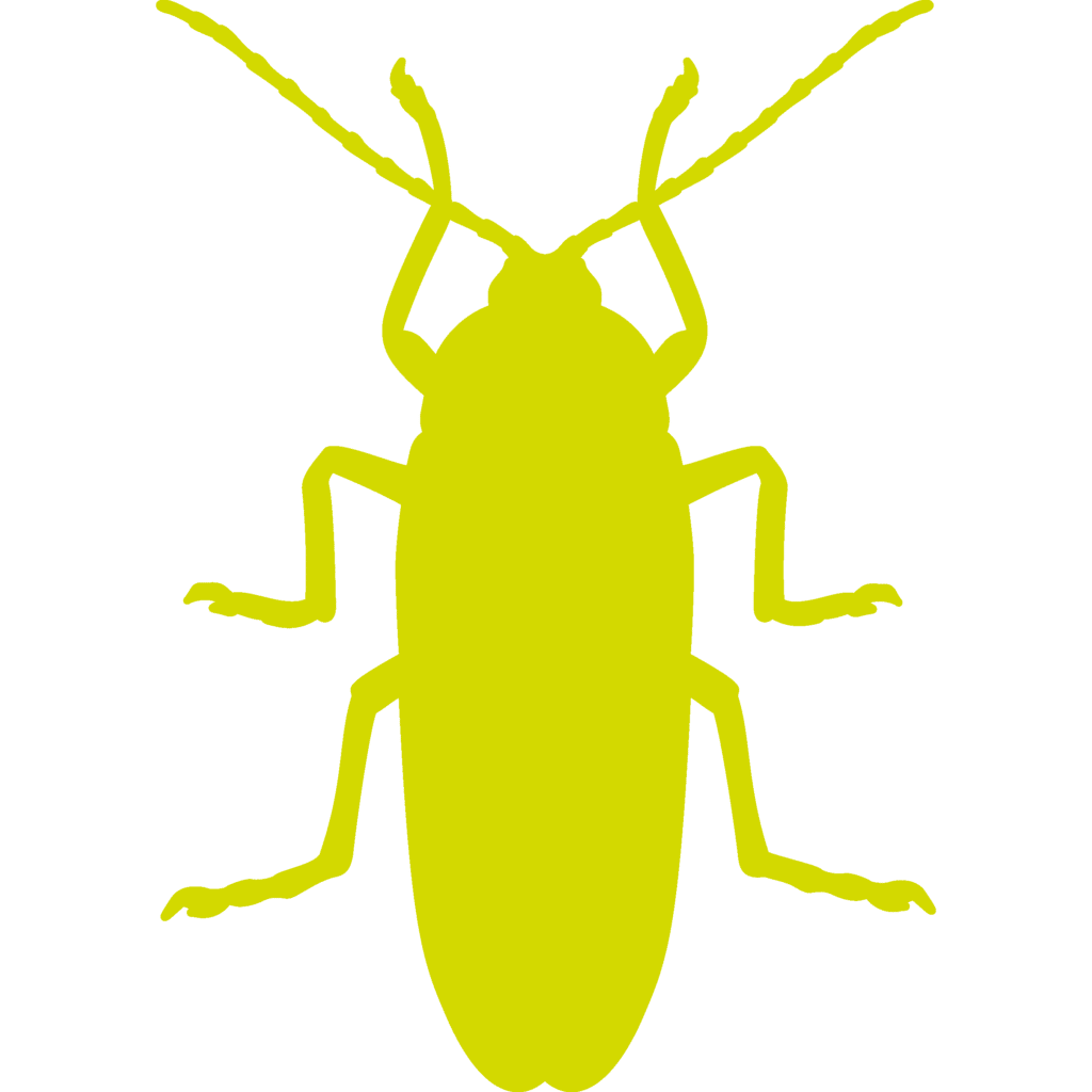 cockroach-silhouette