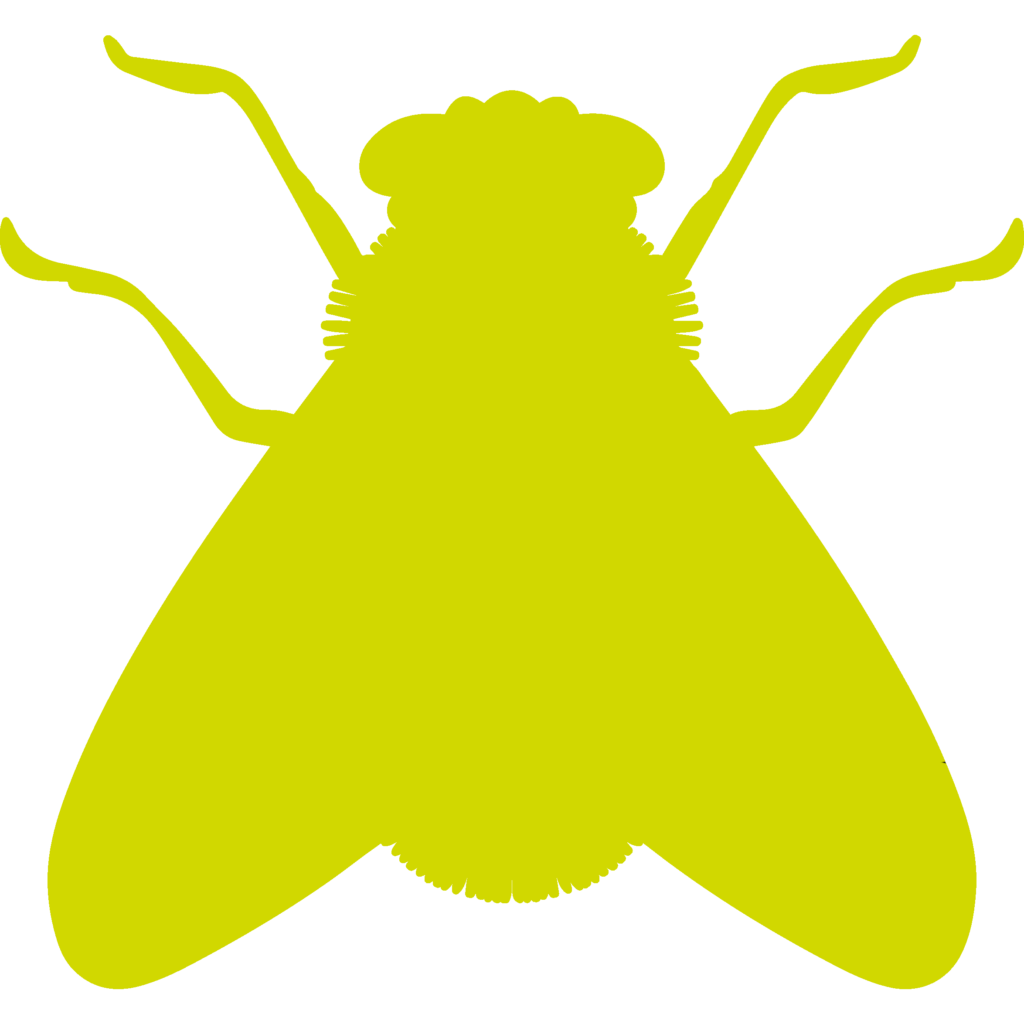 fly-shape