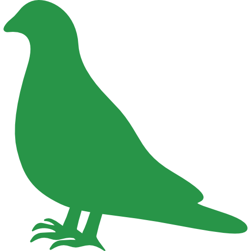 pigeon-4