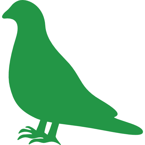 Bioneo intervient pour réguler les populations de pigeons et autres oiseaux envahissants en Pays de la Loire
