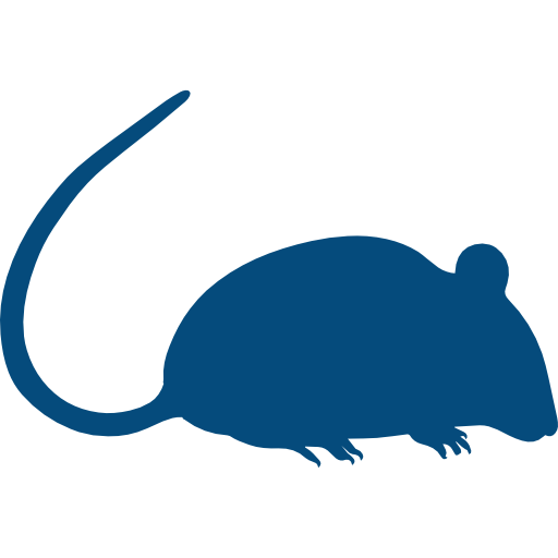 rat-silhouette Pictogramme rat