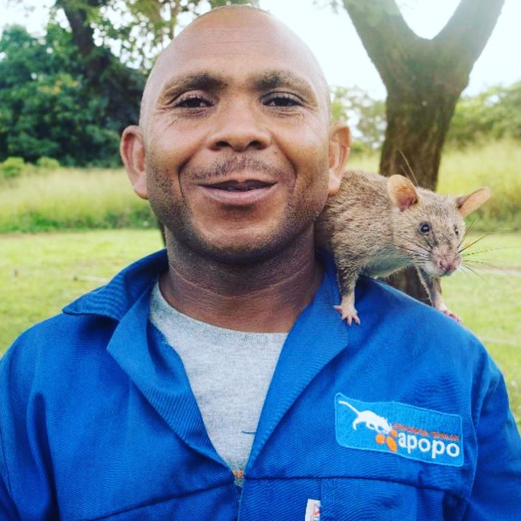 HEROrat - APOPO - Les engagements de BIONEO HEROrat - ONG APOPO - Les engagements de BIONEO