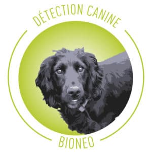 Détection canine de punaises de lit en Vendée, Mayenne, Sarthe, Loire Atlantique, Maine et Loire - BIONEO