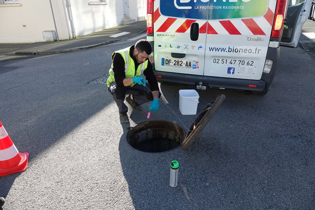dératisation via les égouts - BIONEO Dératisation d'un quartier nantais via les bouche égouts