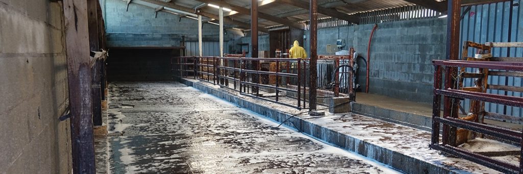 Professionnel lavage et désinfection de bâtiments agricoles et industriels - BIONEO Désinfection de bâtiment agricole ou industriel à Nantes, Angers, Laval, Le Mans et La Roche-sur-Yon