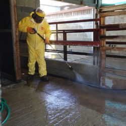 Lavage de bâtiment agricole | BIONEO