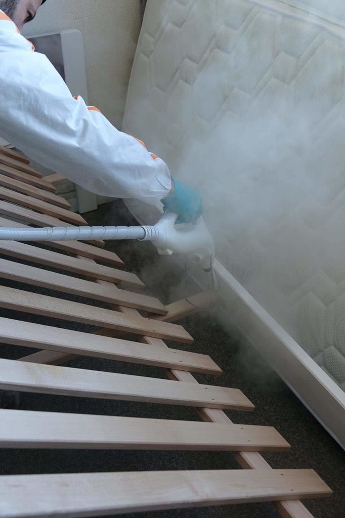 Traitement vapeur punaises de lit Un technicien BIONEO réalise un traitement vapeur sur un lit