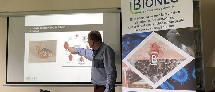 formation punaise Formateur Bioneo présente le cycle de développement des punaises de lit