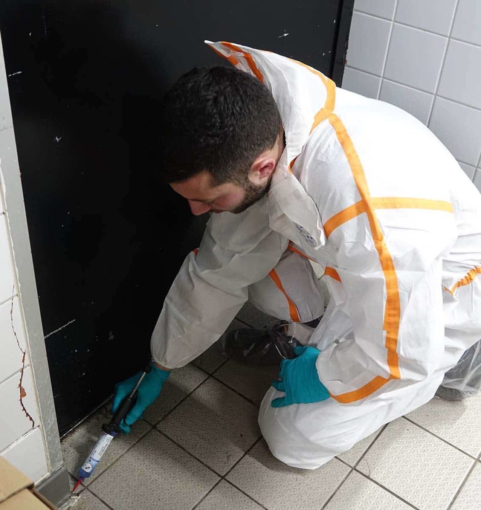 Traitement contre les blattes et fourmis au Mans Désinsectisation au Mans