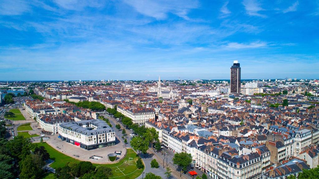 BIONEO : Dératisation et désinsectisation à Nantes et en Pays de la Loire 