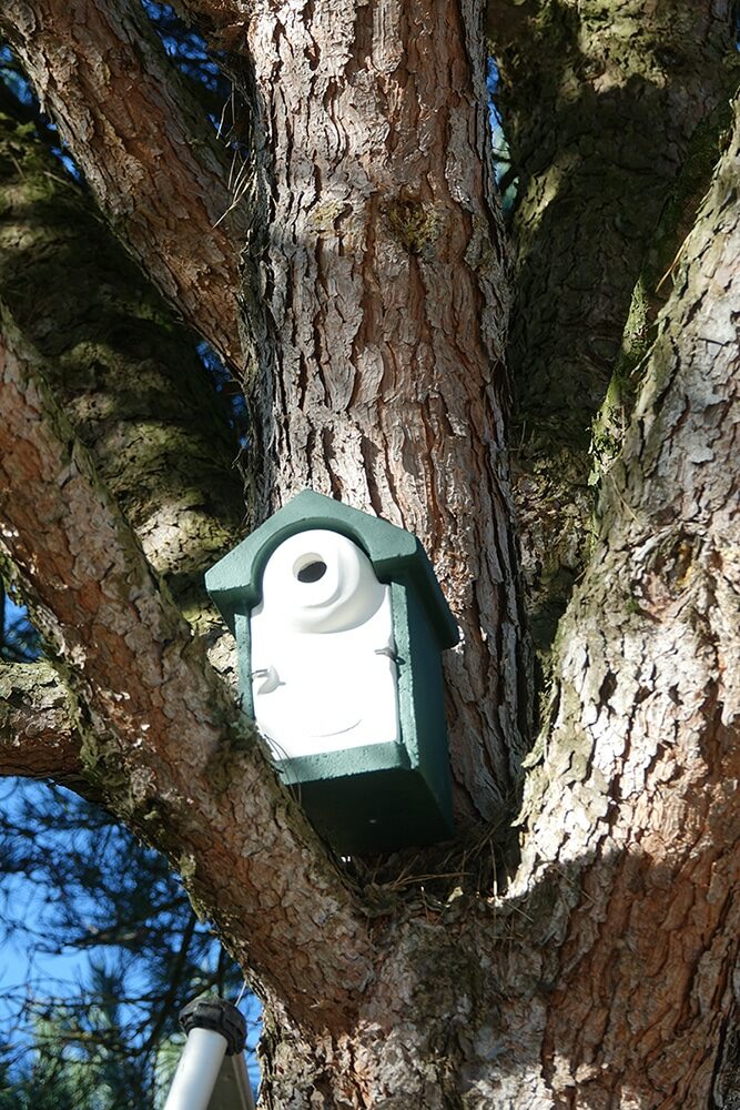 DSC03625 Nichoir à mésange posé sur un arbre, en hauteur, entre des branches.