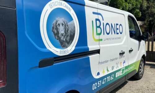 Détection canine - BIONEO - Pays de la Loire Détection canine contre les punaise de lit - La Roche-sur-Yon, Nantes, Angers, Laval, Le Mans, Pays de la Loire - BIONEO