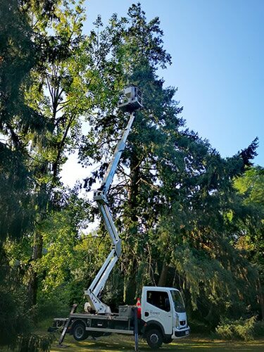 BIONEO - Nacelle pour les interventions en hauteur Bioneo dispose d'une nacelle pour les interventions en hauteur : chenilles processionnaires, nids de frelons asiatiques, nids de guêpes,...